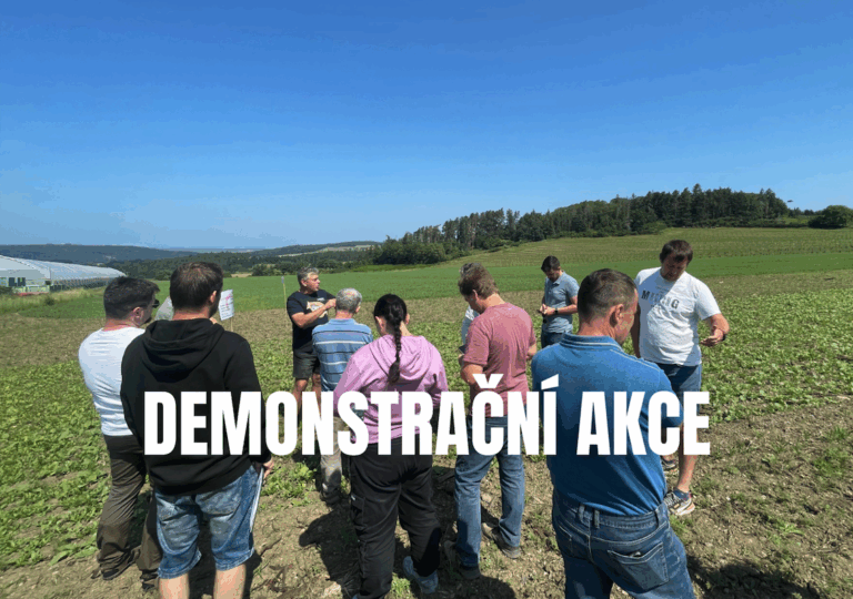 Snímek obrazovky 2025-10-07 v 10.41