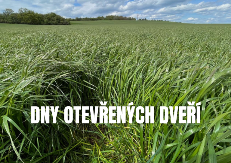 Lukrena příspěvky (3)